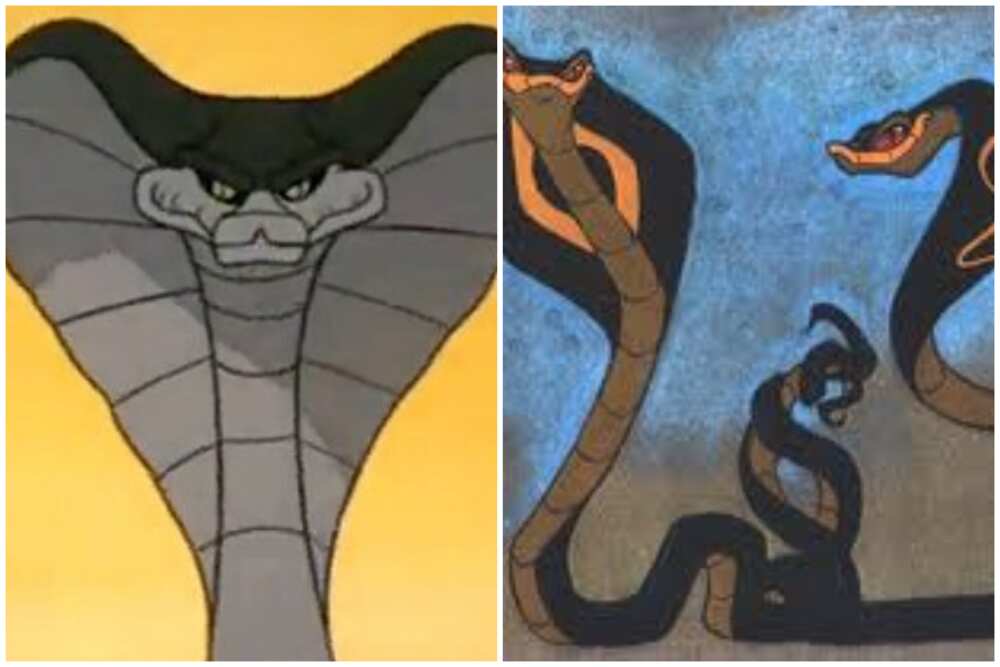 main characters of Jungle Book