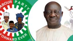 Da Dumi-Dumi: Kotu Ta Soke Nasarar Dan Majalisar Jam'iyyar PDP a Arewa, Ta Ba Dan Jam'iyyar LP Nasara