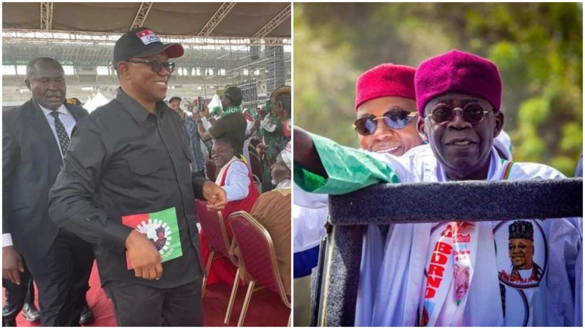 See list of LGAs Peter Obi has won as Labour Party measures up APC's Tinubu in Lagos