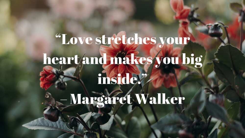 Short I love you quotes Short I love you quotes