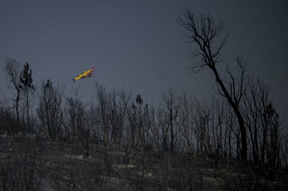Wildfires have been raging in parts of Portugal for several days