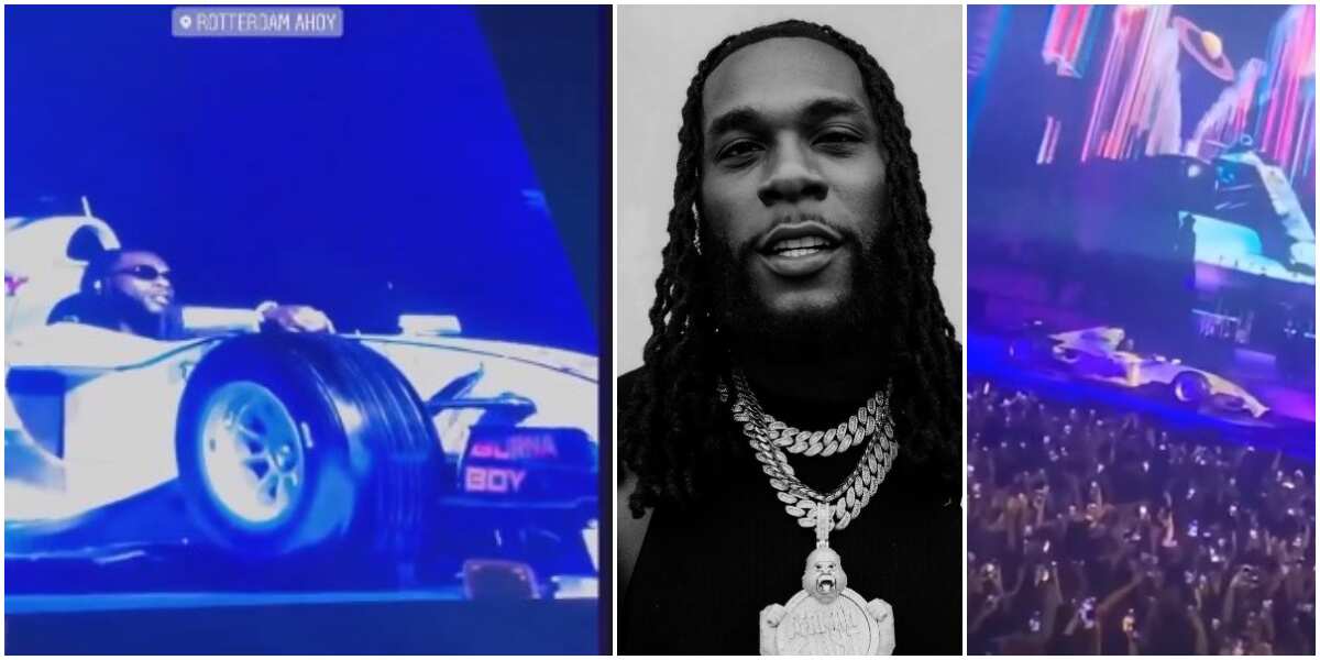 The king of live show: The moment Burna Boy shut down Rotterdam with spectacular entrance at sold-out concert