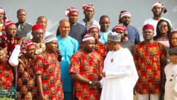 2023 elections: Ohaneze Ndigbo sends strong message to Buhari over alleged attack on Igbos