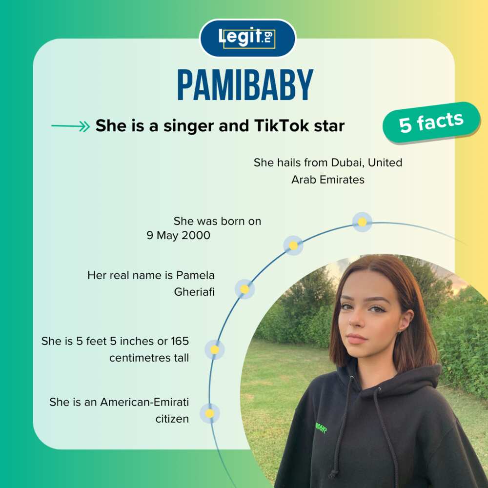 5 quick facts about Pamibaby