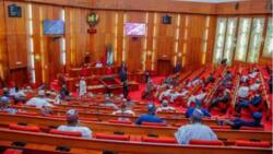 Breaking: Senate amends Electoral Act to allow political office-holders vote at congresses, primaries