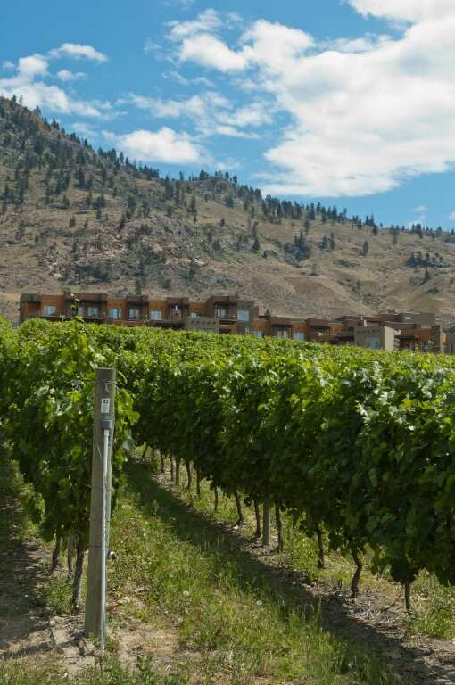 222 wineries in Canada's Okanagan Valley region are facing a "devastating season" as wildfires have kept tourists away