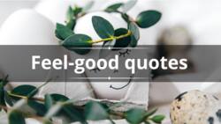 100+ best feel-good quotes and sayings to cheer people up
