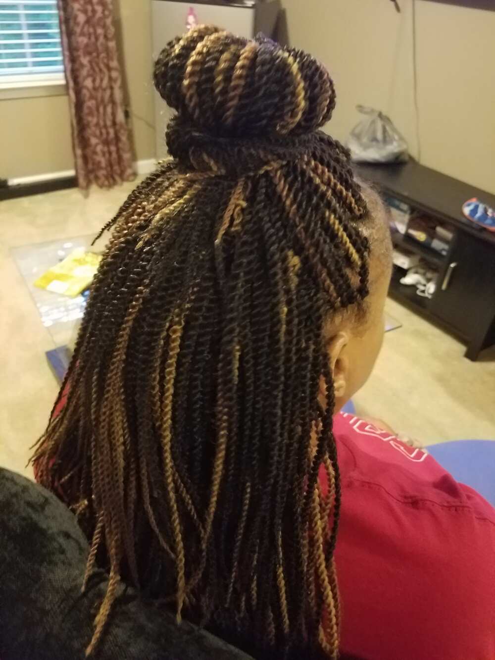Twisted Updo Twisted Updo