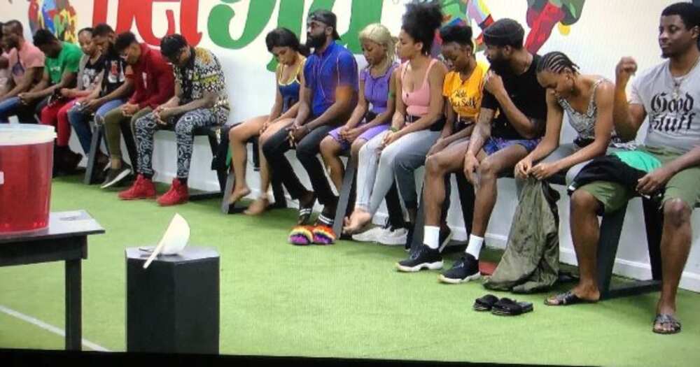 BBNaija news today