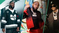 Burna Boy, Davido and 3 other highest paid Nigerian artistes with a total net worth of N1 trillion