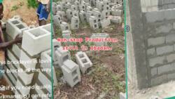"High cement cost": Man moulds special blocks that consume less cement, shows them on site