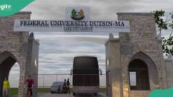 BREAKING: Gunmen abduct students of Federal University Dutsinma