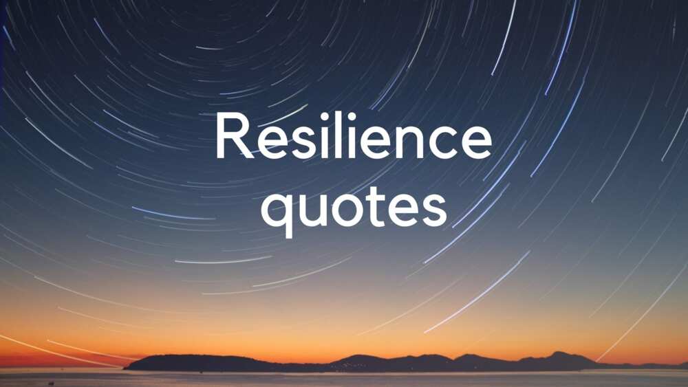 resilience quotes