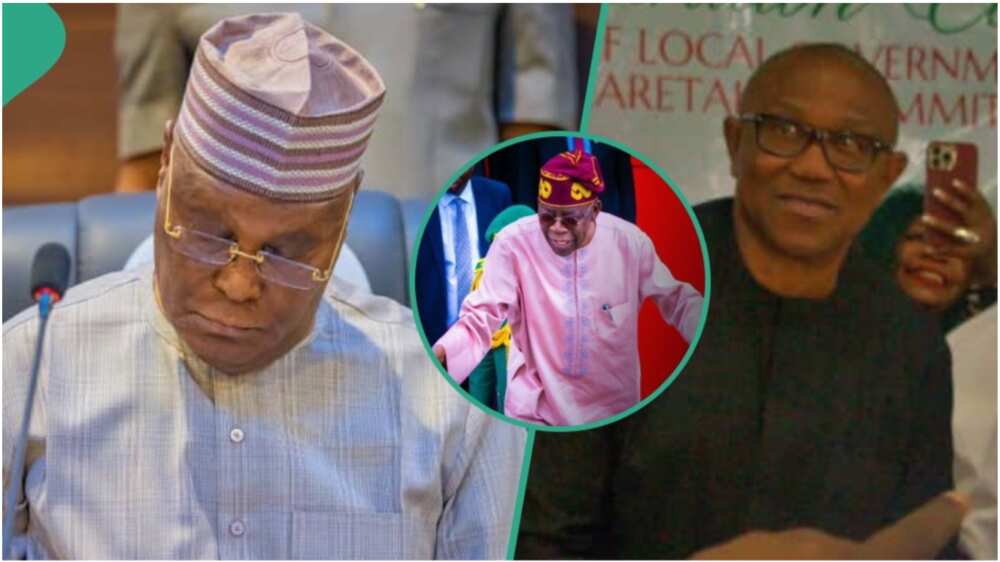 Atiku Abubakar/Bola Tinubu/Peter Obi/PDP/APC/Labour Party/Supreme Court/Chicago State University/United States