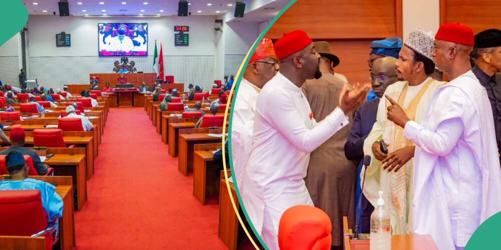 Senators went berserk at the red chamber over the budget padding allegations