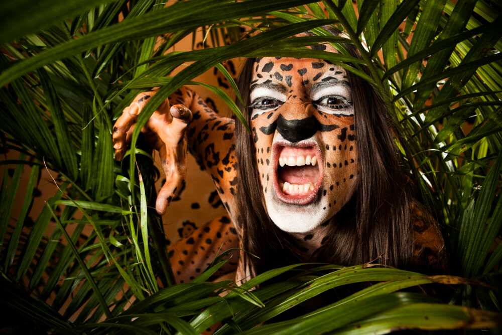 Jaguar woman growling in jungle leaves
