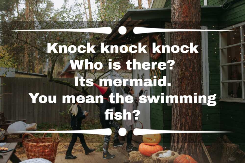 50 Flirty Knock Knock Jokes And Pick Up Lines To Tell Your Crush Legitng 8818