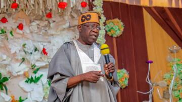 BREAKING: Tinubu makes crucial confession about his running mate