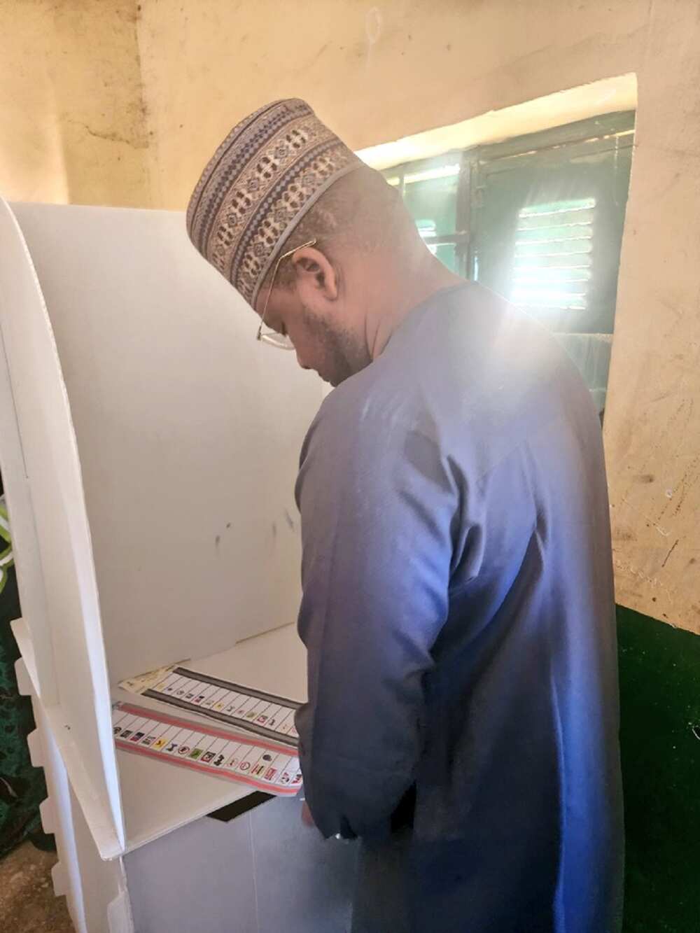 Dawisu Dawisu