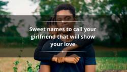 200+ sweet names to call your girlfriend that will show your love