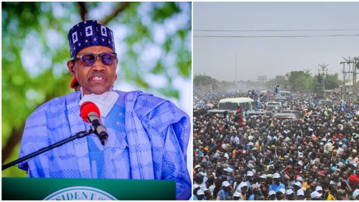 Video emerges as massive crowd attends Durbar celebrating Buhari, welcomes him to Daura, Nigerians react
