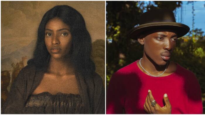 Creativity at work: New edifying rendition of Monalisa painting by Nigerian photographer goes viral
