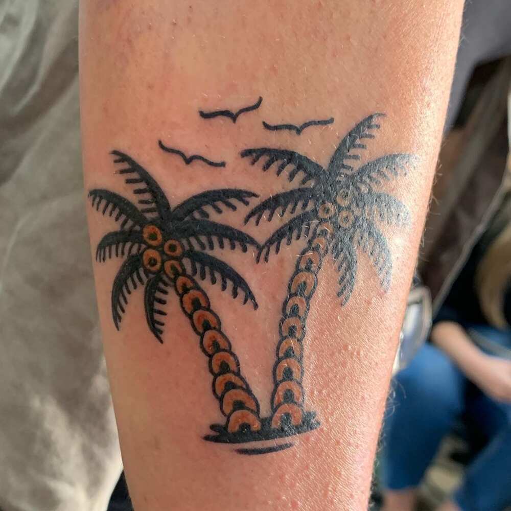 50 palm tree tattoo design ideas for men and women you will love Legit.ng