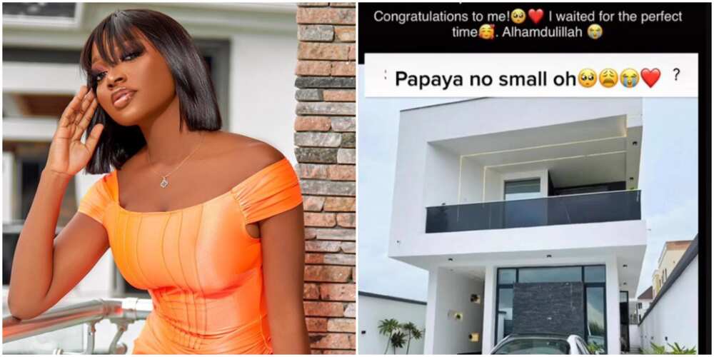 Mansion drama: Sibling of house owner comes after Papaya as influencer