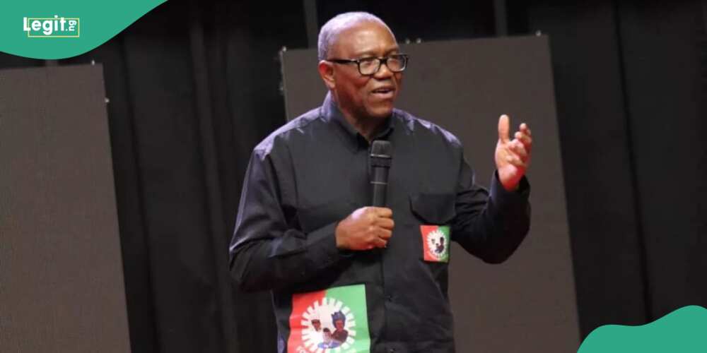 Labour Party's presidential candidate, Peter Obi