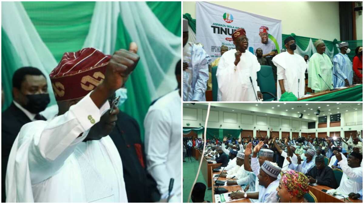 BREAKING: After APC senators declared support for Tinubu, Reps caucus reveals their anointed presidential aspirant