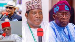 Lalong, Umahi, Wike: Analyst reveals who Tinubu may appoint as minister of works