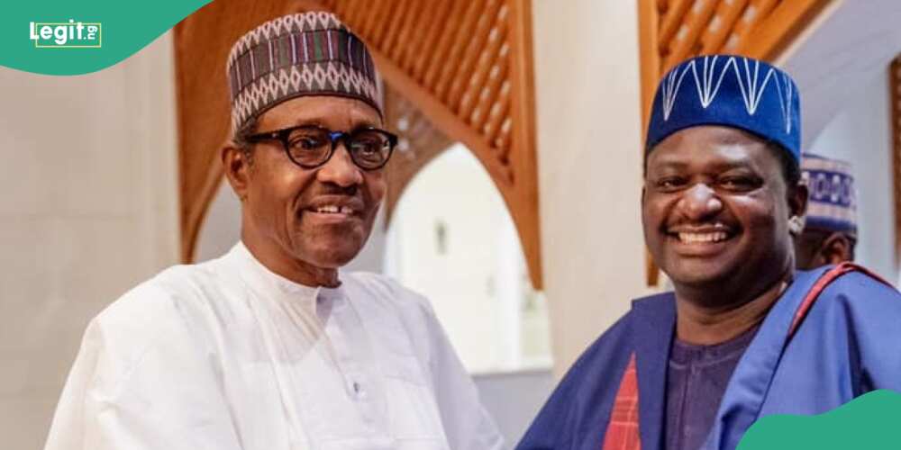 Muhammadu Buhari, Femi Adesina