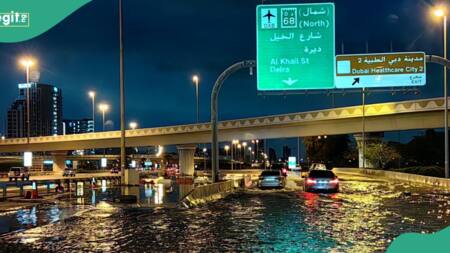70-year-old man dies, schools shut down as flood submerges Dubai after heavy downpour