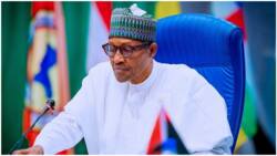 The whole truth: Nigerians pressured Buhari to run for president, Garba Shehu