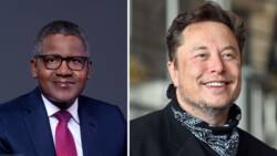 List of world richest people in 2022: Dangote tops Africa but Elon is 15x richer after making N90.6tn in 10yrs