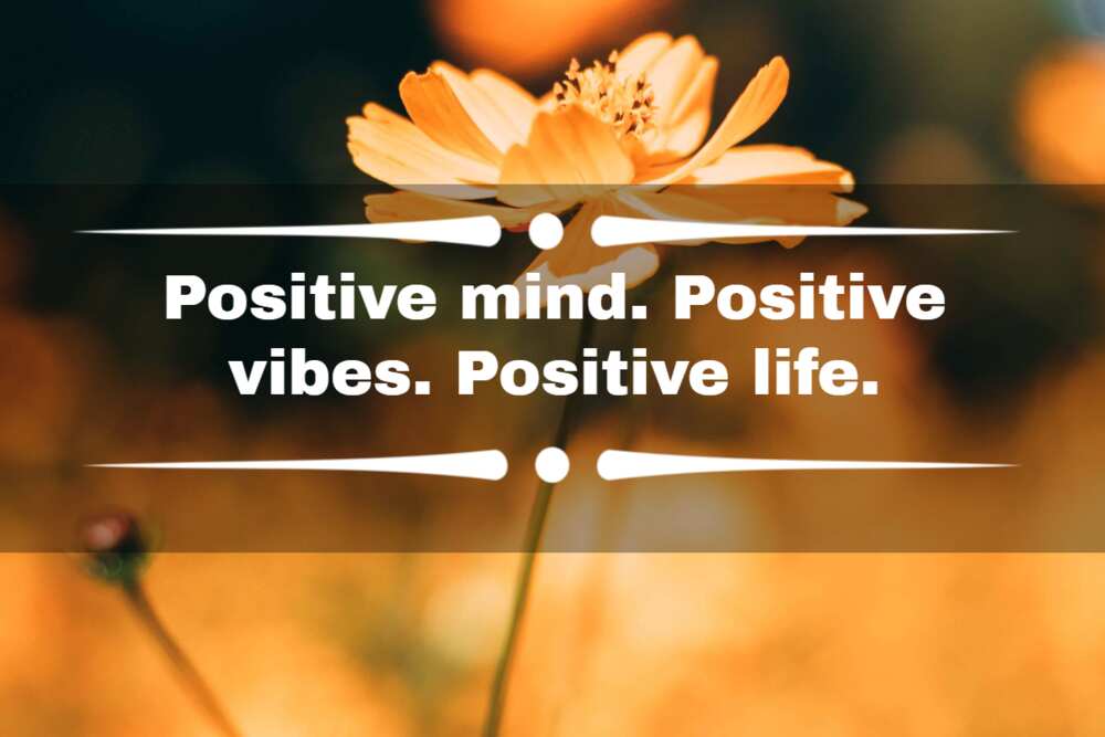 Quotes about good vibes Quotes about good vibes
