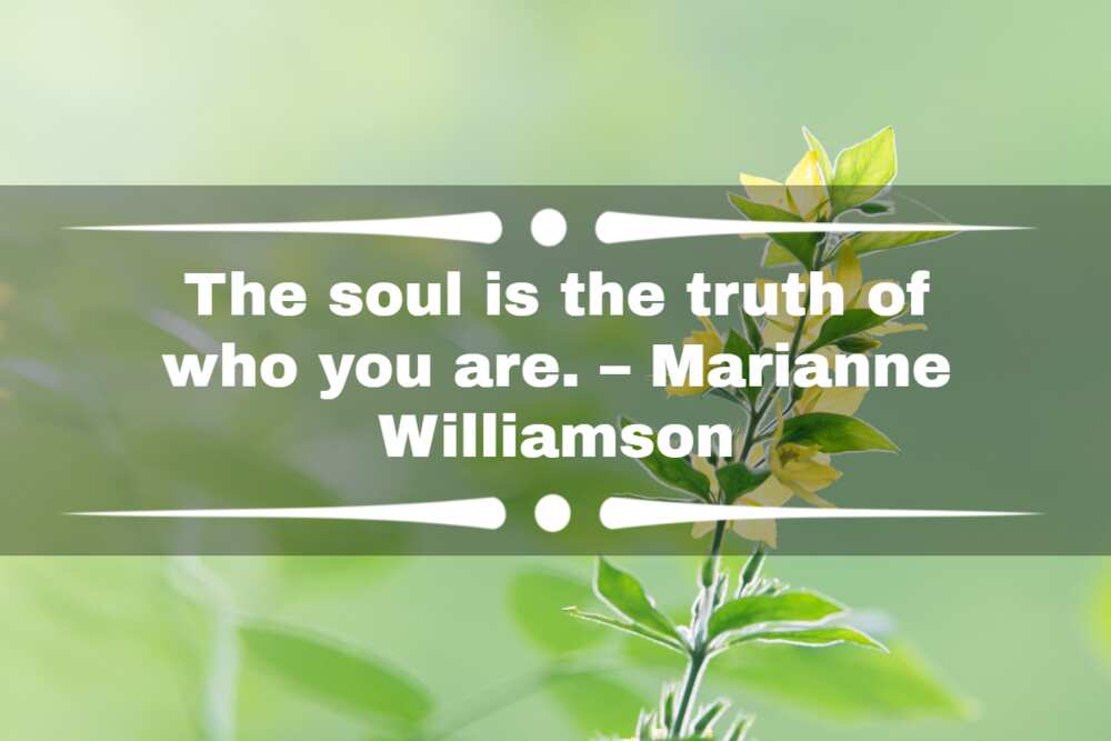 Quotes about the soul