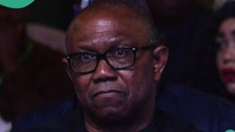 2027: Peter Obi makes strong case for parliamentary system of govt