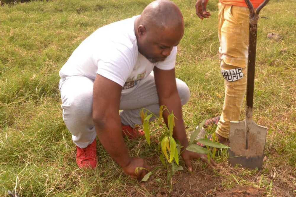 Climate change: WAANSA Nigeria to plant one million trees nationwide