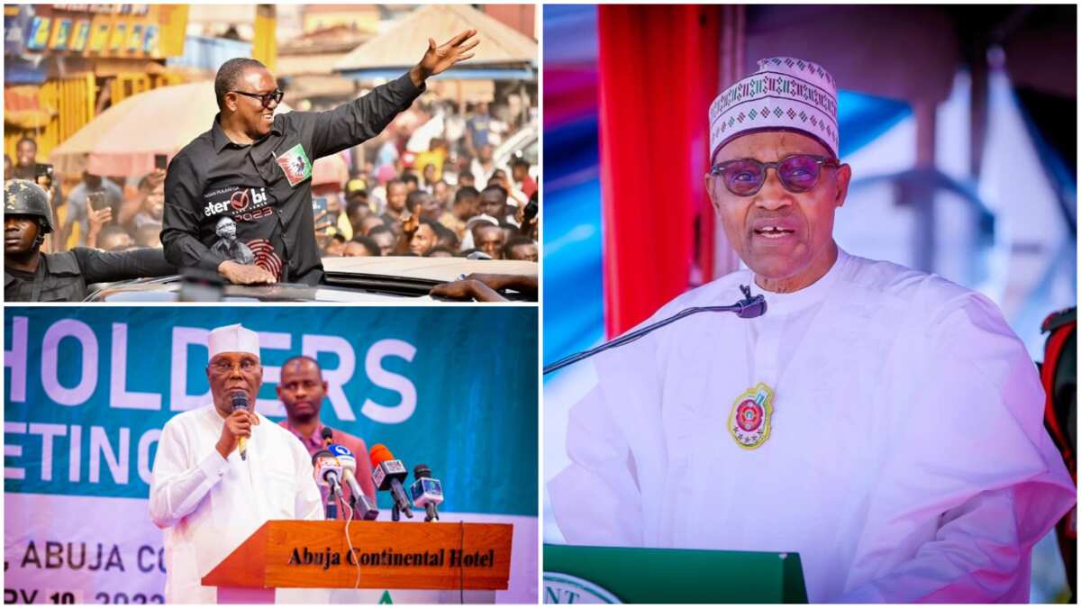 This is what you should if you don't want Tinubu to succeed me, Buhari tells Atiku, Peter Obi, others