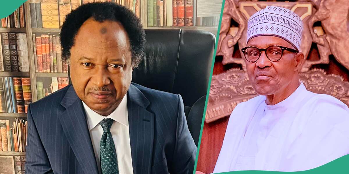 Shehu Sani Speaks As Claim $3.4bn IMF Loan Disappeared Under Buhari ...