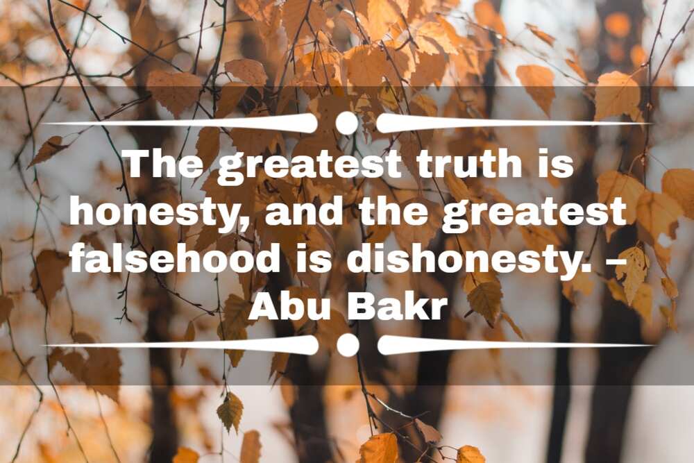 lie quotes lie quotes
