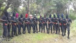 New report exposes the man behind unknown gunmen in southeast, group's real name