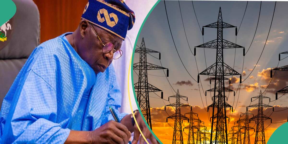 Jubilation as FG announces plan to sell stake in DisCos, 4 others to Nigerians