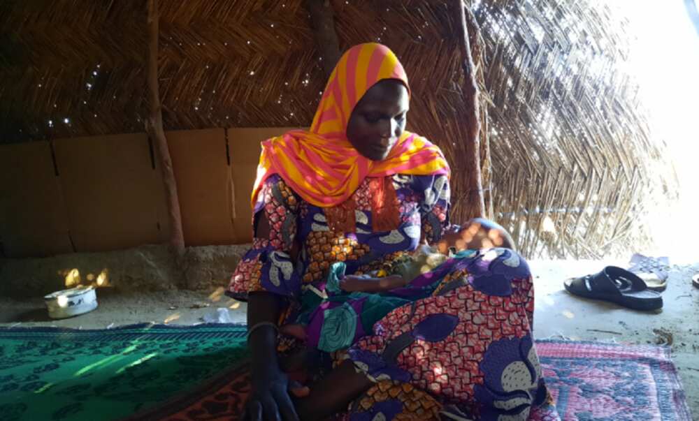 Daga zuwa yin itace aka sace ta, sai dawowa gida ta yi da dan mayakin Boko Haram Daga zuwa yin itace aka sace ta, sai dawowa gida ta yi da dan mayakin Boko Haram