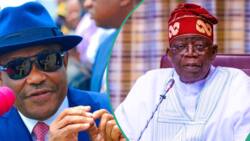 “He’s not just FCT minister”: Tinubu reveals 2 strong positions Wike holds in his government