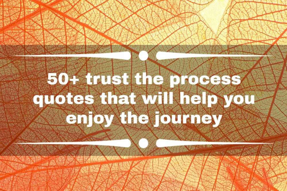 Motivational Quotes - Trust the Process Enjoy the Journey Stock Photo -  Image of motivation, process: 212251908