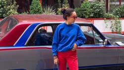 Forent Pagny : sa fille Ael Pagny en couple à New York