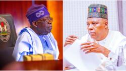 Shettima departs Nigeria to represent Tinubu at important summit, details emerge