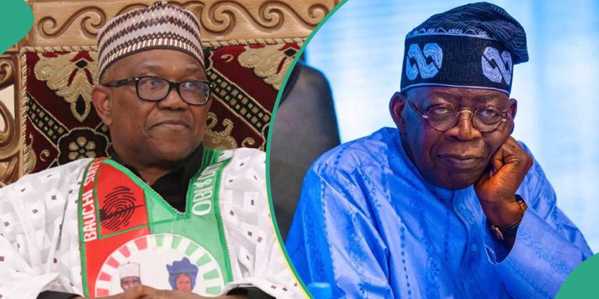 2023 Polls: “Peter Obi Won On Social Media But Lost To Tinubu”, Ex ...